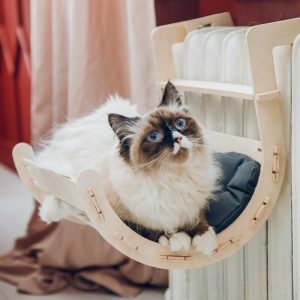 Домик лежанка для кошки из дерева